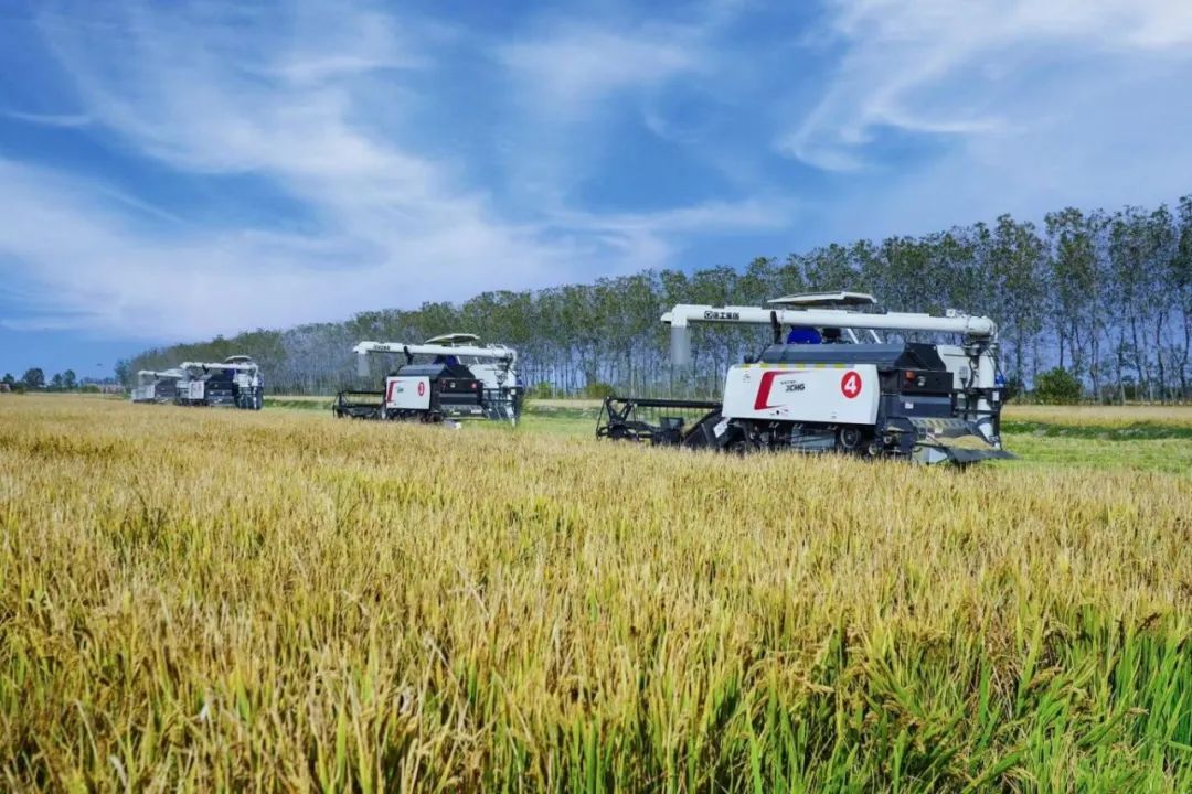 8188cc威尼斯(中国)有限公司官网