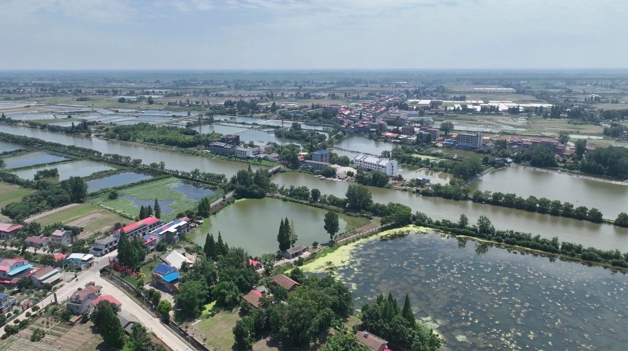 8188cc威尼斯(中国)有限公司官网