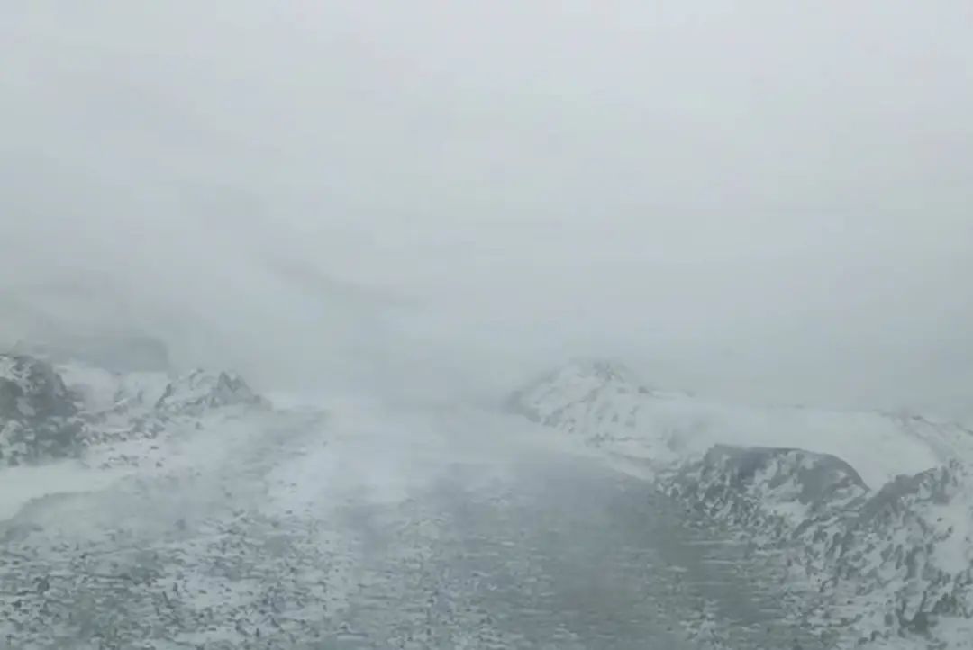 8188cc威尼斯(中国)有限公司官网