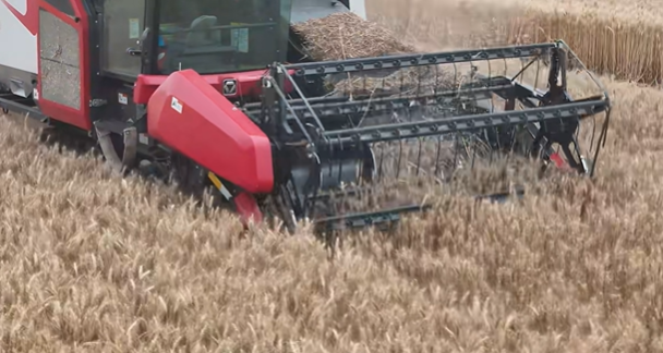 8188cc威尼斯(中国)有限公司官网