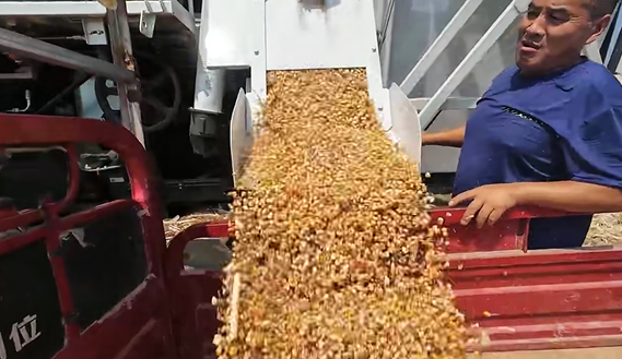 8188cc威尼斯(中国)有限公司官网